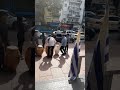 Video Content Analysis
