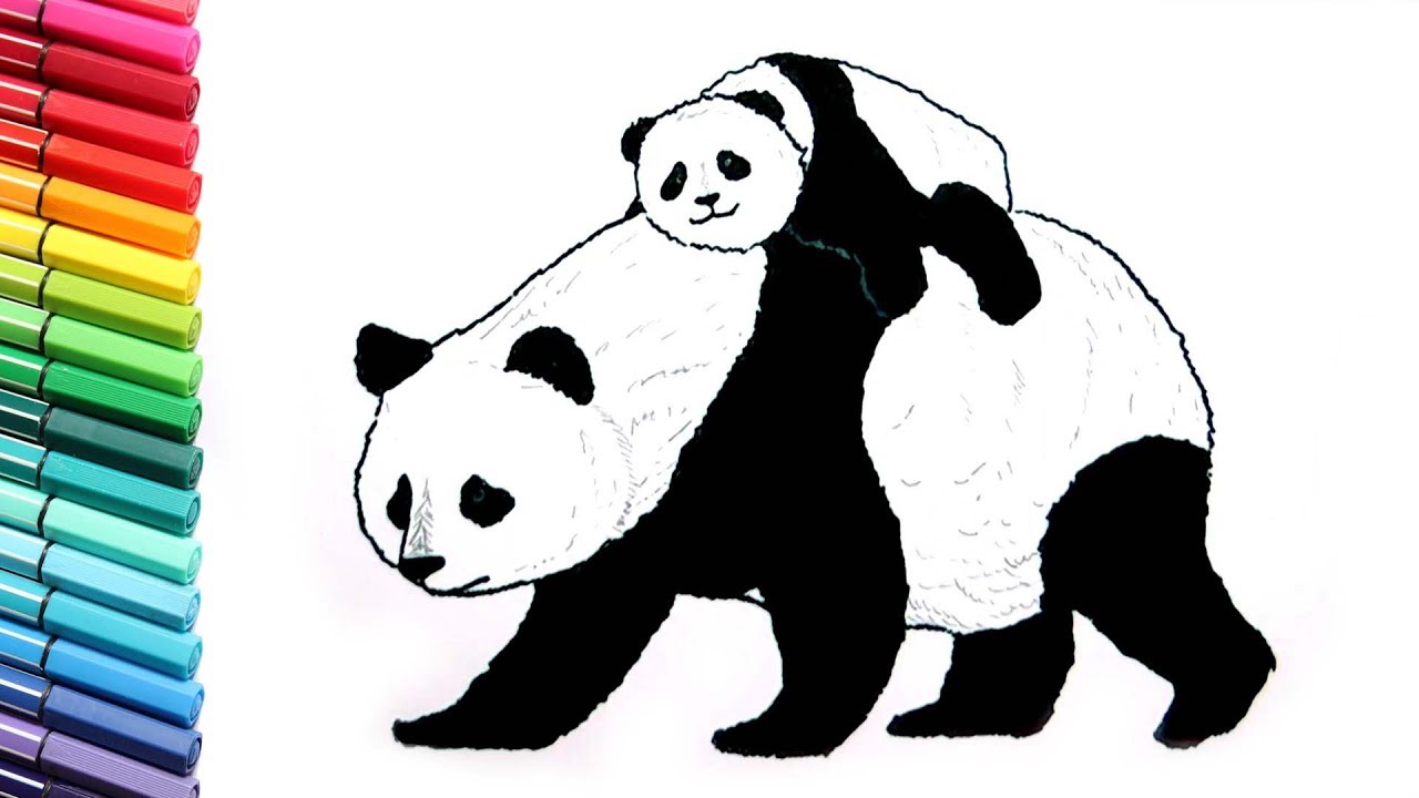 Drawing and Coloring Panda - Learn to Draw Wild Animals From China - Color Pages for Childrens - Kids Draw TV