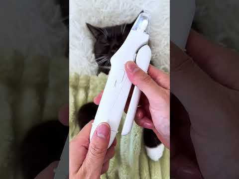 Universal nail clipper for cats & dogs with led light & grinder #cats #dog