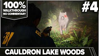 Alan Wake 2 100% Cinematic Walkthrough (Nightmare, No Damage) 04 CAULDRON LAKE WOODS