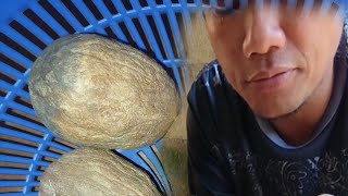 Makan Buah Hutan Beh Beh //kena bakar dulu buah dia baru sedap Di makan