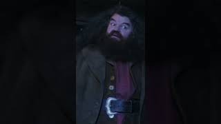 Did Hagrid carry an OWL with him to the shack? | #HarryPotterBooks-vs-Movies #harrypotter