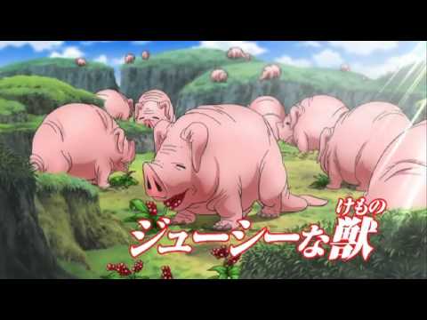 One Piece: Brook Introduces The Thousand Sunny [HQ]