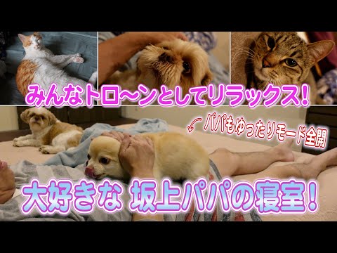 大好きなパパの寝室！超プライベートゾーンでの18兄弟を公開！