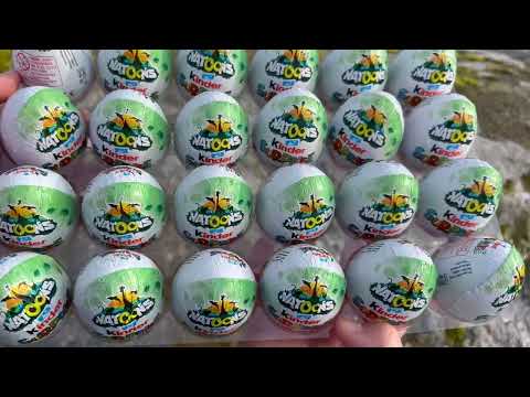 Kinder surprise eggs chocolate Natoons 2024-2024/ opening 24 kinder eggs