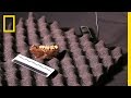 Fossil Discovery Challenges and Insights