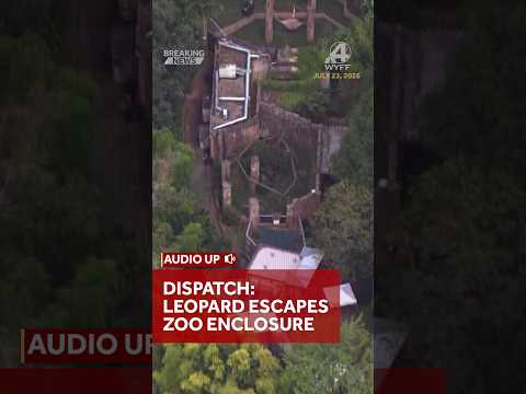 Listen to the dispatch audio after a leopard escaped its enclosure at the Greenville Zoo