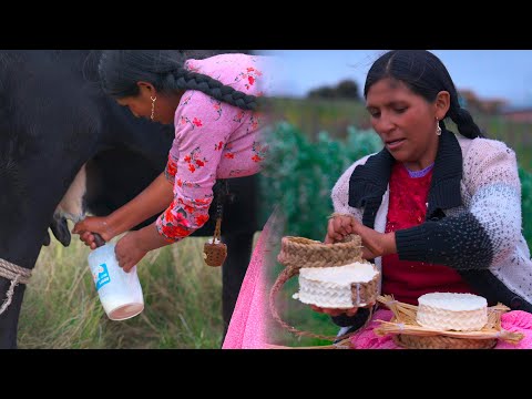 haciendo queso fresco natural - Cholita julia