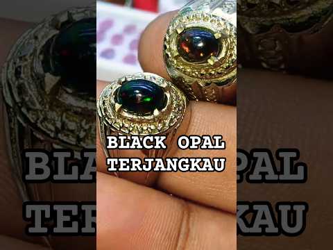 JARONG MELINTIR BLACK OPAL HARGA BPJS, MURAH MERIAH