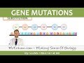 Genetic Mutations and Their Effects