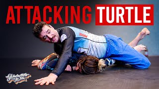 Winter Camp 2025: Attacking Turtle with Gareth McNamara