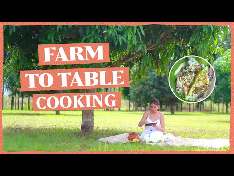 FARM TO TABLE COOKING: (Sinaing na Tilapia sa Gata na may Kamias) | Bea Alonzo