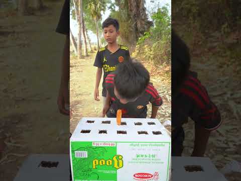 Outdoorfood SIMPLE But USEFUL WOW NEW IDEA UNLOCKED Food in Forest #forest #survival #camping #viral