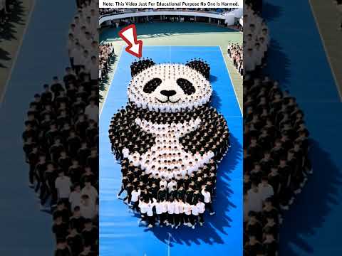Unbelievable school activities in other COUNTRY #shortsvideo