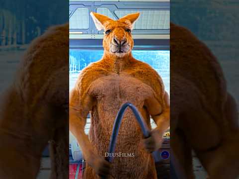 👊Охранник которого не пройти 🤯 | Лунный человек (2022)