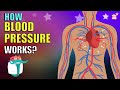 Understanding Blood Pressure