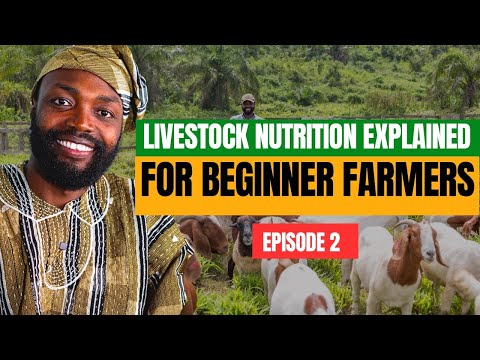 THE 3 MOST IMPORTANT NUTRIENTS YOUR ANIMALS NEED AND EASIEST WAY TO GET THEM