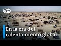 Desafíos y Soluciones del Cambio Climático