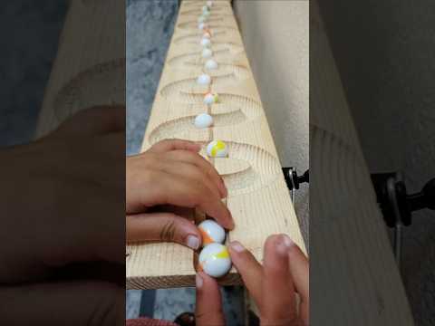 marble Run race#111#marblerun#marblesrace# marble Run#race