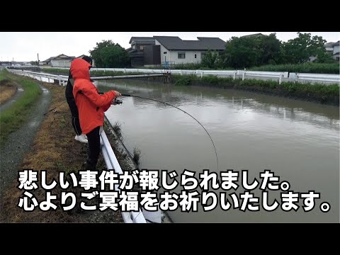 【事件】ウナギを釣りに行った水門で撮影後に全国ニュースで報じられることに