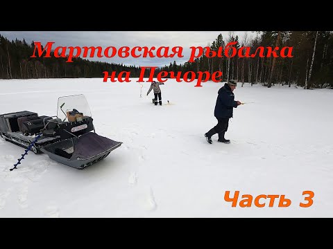 Мартовская рыбалка на Печоре  Часть 3  Дикие окуни болотного озера  Их больше, чем в небе звёзд !