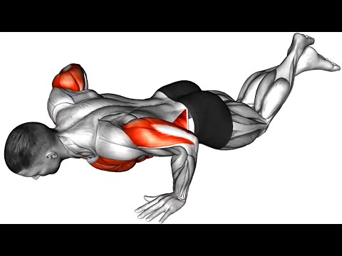 Best Exercises for Your Chest