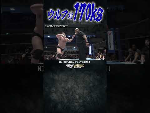 新日本プロレス『Road to SAKURA GENESIS 2026』(4.2) ウルフ対170kg #shorts