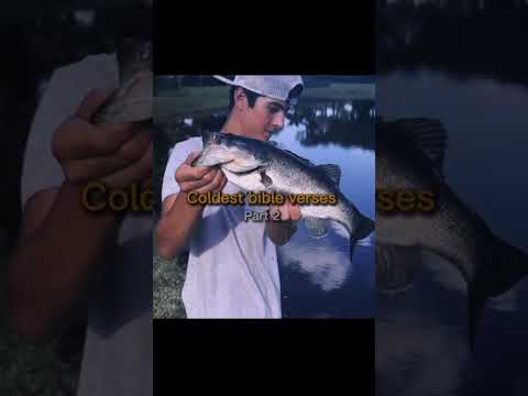 What ones next? #jesus #fishing #veiws #subscribe