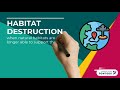Habitat Loss and Its Effects