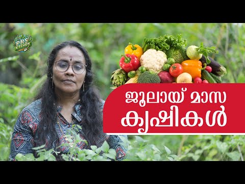 ജൂലൈയിൽ ചെയ്യാവുന്ന കൃഷികൾ | Best Crops to Grow in July | Kerala Farming Guide | PRS Kitchen