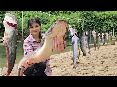 Vietnamese girl goes on an adventure with two dogs to catch giant fish for a living - ha thi muon