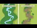 Riparian Zones and Their Importance