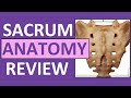Understanding the Sacrum Anatomy