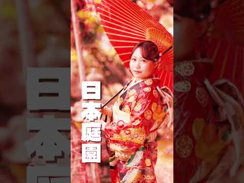 山形で成人式の #振袖レンタル ならコチラ #振袖 #成人式