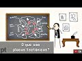Understanding Plate Tectonics