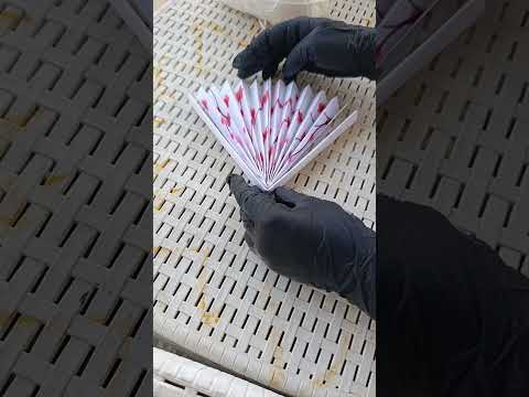 VENTAGLIO DI CARTA 😱 #tutorial #diy #papercraft #fan #paperfan