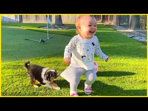 Totally Innocent: Every Baby Needs a Dog! || Peachy Vines
