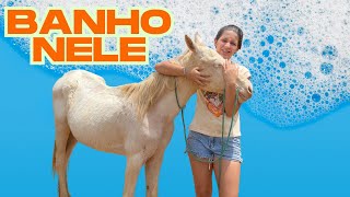 Primeiro banho dos potrinhos! E Aninha quase saiu correndo! 🐴💦