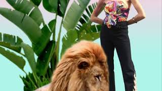 LION JEAN • tuktuk club