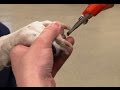 Nail Trimming Techniques and Safety