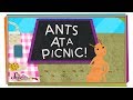 Ants and Their Picnic Adventure