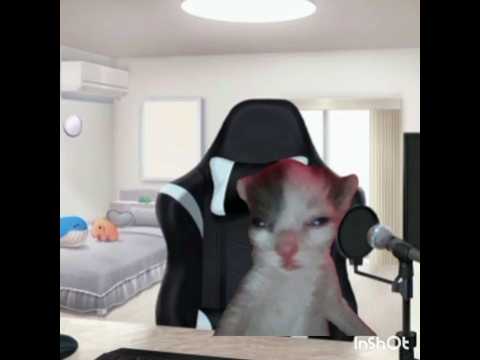 كل هذي المدة وانا اسويها غلط😭 #لايك_اشتراك #قربنا لـ10k# مهتم بي هذا المحتوى فولو مي 🎀 #اشتركو #cat