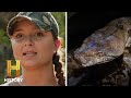 Burmese Python Encounter and Identification