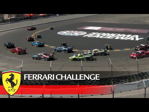 Ferrari Challenge North America ? Sonoma 2021, Coppa Shell Race 2