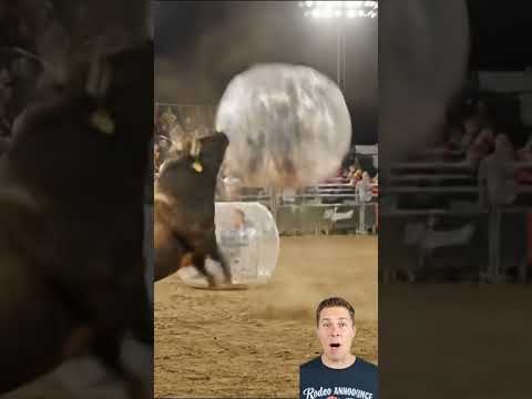 Bull vs. Bubble Ball #shorts