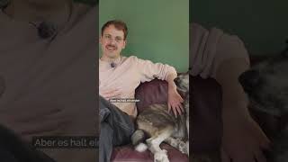 Hundeangst überwinden #ykollektiv