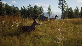 Animal-hunting sim Way of the Hunter launches in August