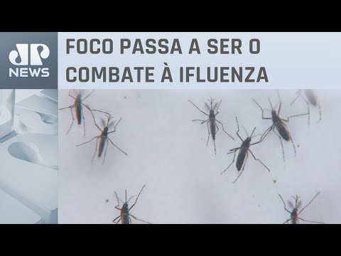 RJ decreta o fim da epidemia de dengue