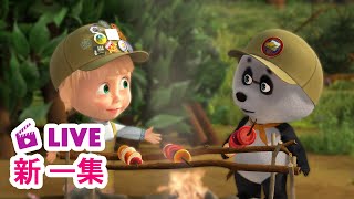 🔴 LIVE! 瑪莎與熊 - 🆕 新 一集 🇺🇸 美國蠻荒西部重現 🤠🌵 🎤 瑪莎的世界名曲 | Masha and The Bear