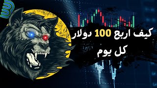 منصه Binolla للربح من الإنترنت 2025